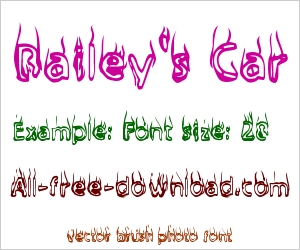 Bailey's Car