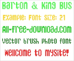 Barton & King Bus