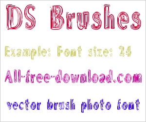 DS Brushes
