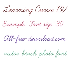 Learning Curve BV