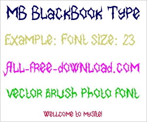 MB BlackBook Type