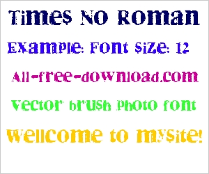 Times New Roman Font Style