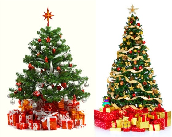 Free Vector Trees on 3d Christmas Tree Hd Picture Free Photos For Free Download