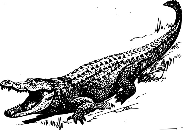 Alligator clip art. Preview