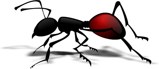 fire ant clipart - photo #9