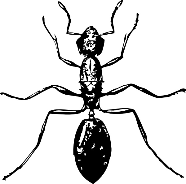 Free vector Vector clip art Ant clip art. File size: 0.1 MB