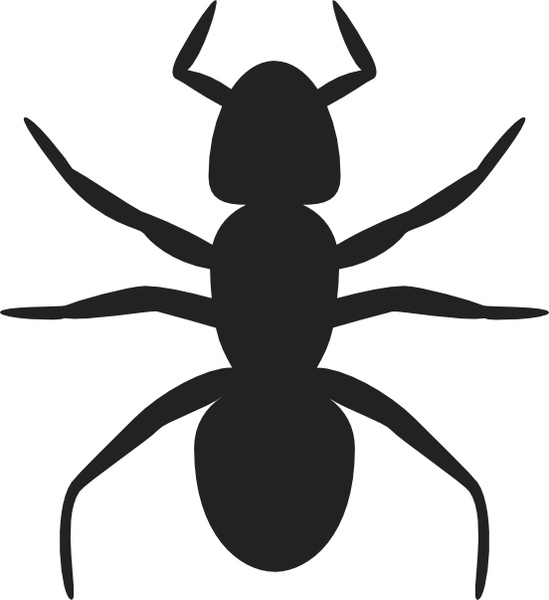 free ant clipart black and white - photo #19