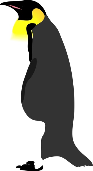 architetto pinguino