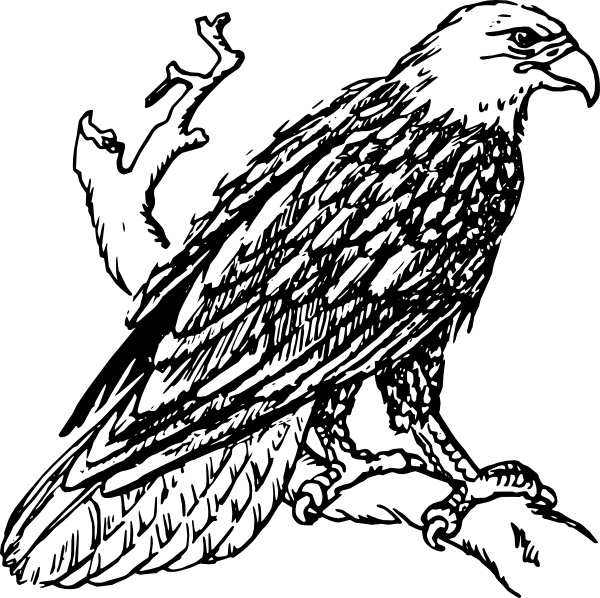 free clipart of bald eagles - photo #11