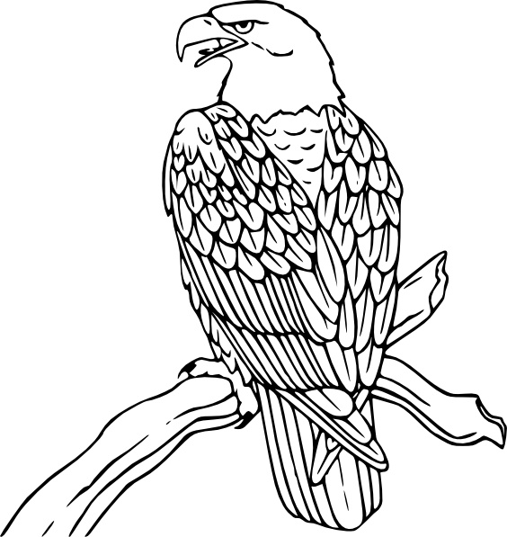 free clip art bald eagle - photo #1