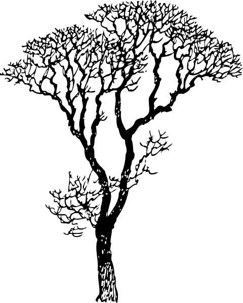Bare Tree clip art Free vector in Open office drawing svg ( .svg