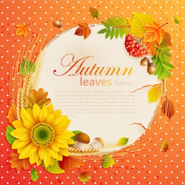 hermosa del otoño hojas marco de fondo de vectores 05
