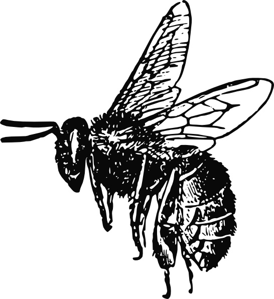 free clip art bee hive - photo #47