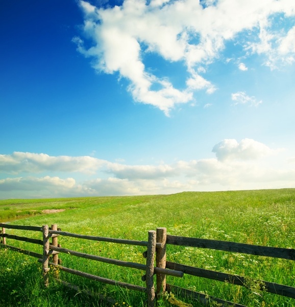 Sky and grass background free stock photos download (23,515 Free stock