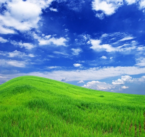 Sky and grass background free stock photos download (23,515 Free stock