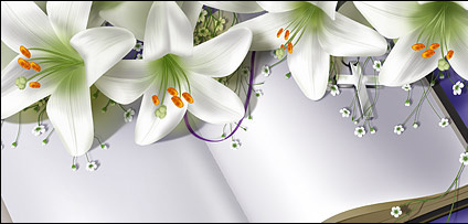 books and lily 3310 ● ডাউনলোড করুন দারুন কিছু ফটোশপ ডিজাইন (PSD Templates) !!! | Techtunes
