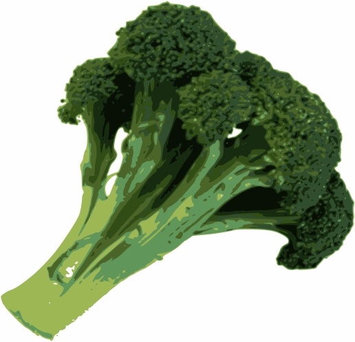 broccoli art