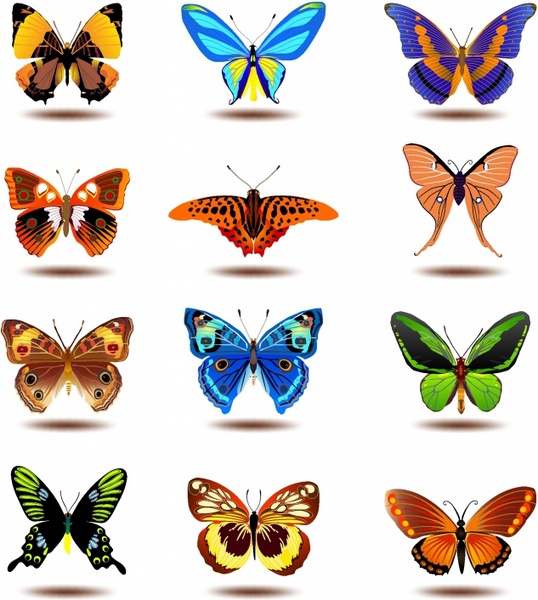 vector free download butterfly - photo #25