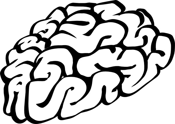 Cartoon Brain Outline clip art Free vector in Open office drawing svg