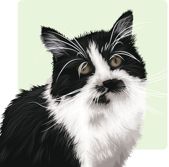 cat clip art free download - photo #39