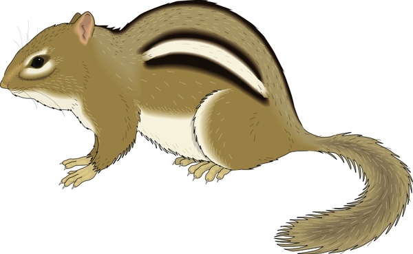 Chipmunk Free vector in Open office drawing svg ( .svg ) vector