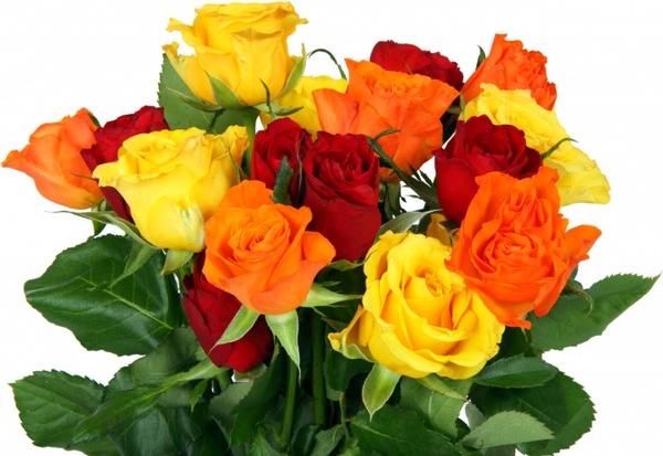 colorful rose bouquet