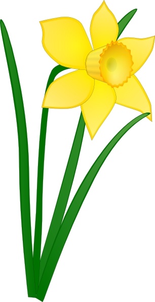 free clip art daffodil border - photo #14