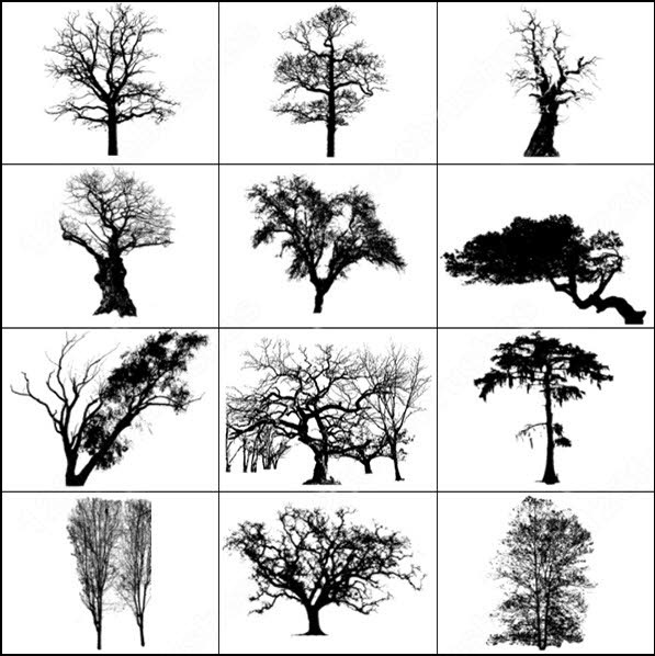 Photoshop 7 Tree Brushes Free Download