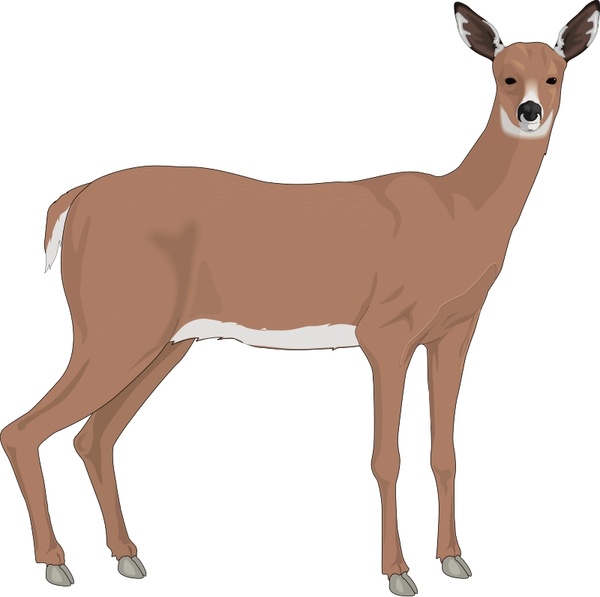 free clipart of deer - photo #36
