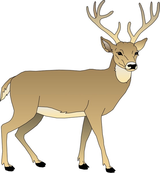 Free Vector Clipart on Deer 5 Vector Clip Art   Free Vector For Free Download