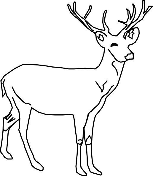 free whitetail deer clipart - photo #21