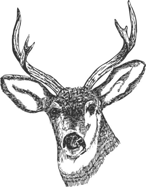 deer vector clipart - photo #7