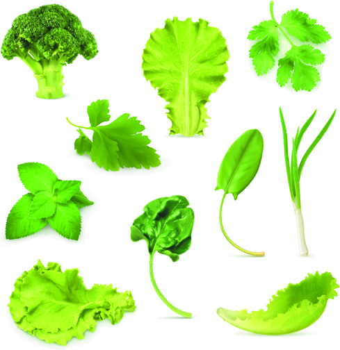 green vegetables clipart - photo #40