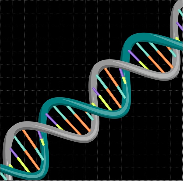  Vector on Dna Vector Clip Art   Free Vector For Free Download