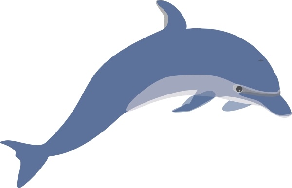 free clipart images dolphins - photo #3
