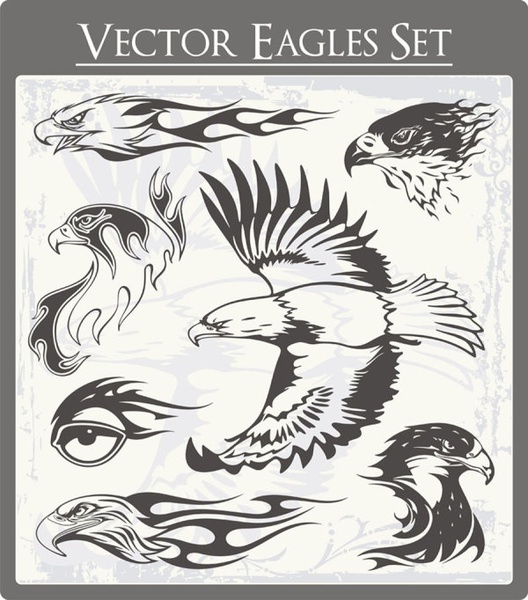 Eagle logo design vector free vector download (68,021 Free vector) for