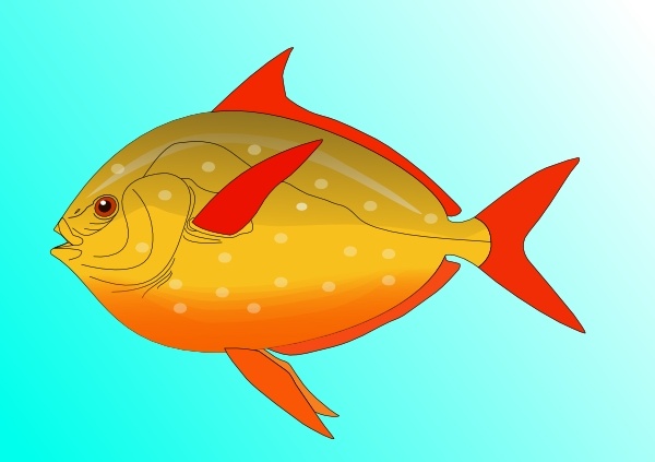 free fish vector clip art - photo #20