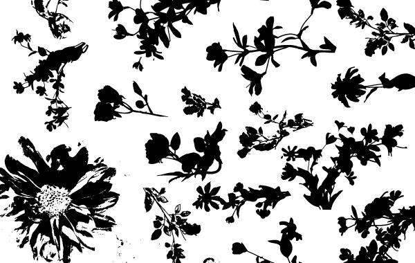 Floral Silhouette Vector Pack Free vector in Adobe Illustrator ai ( .ai