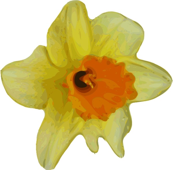 free clip art real flowers - photo #16