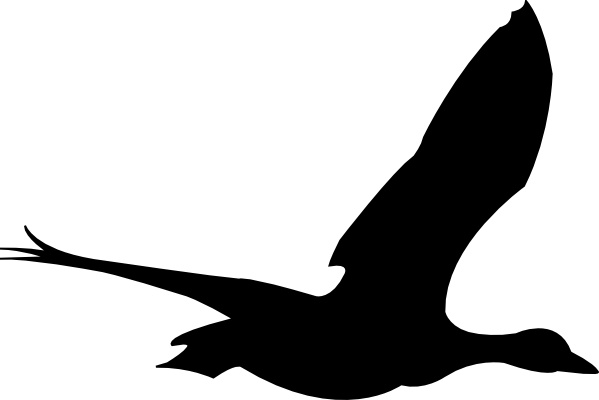 clipart flying duck - photo #50