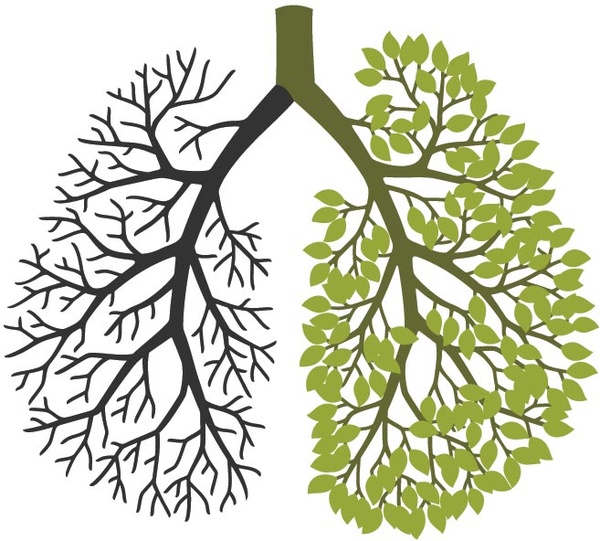 lung cancer logo clip art free - photo #22