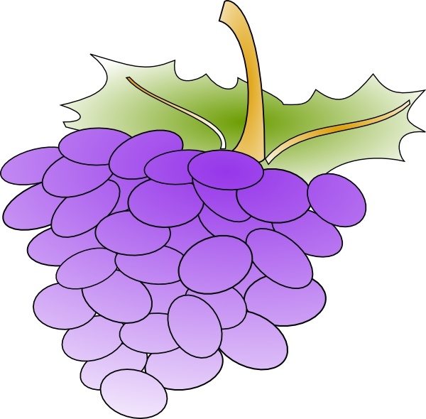 clip art pictures of grapes - photo #36