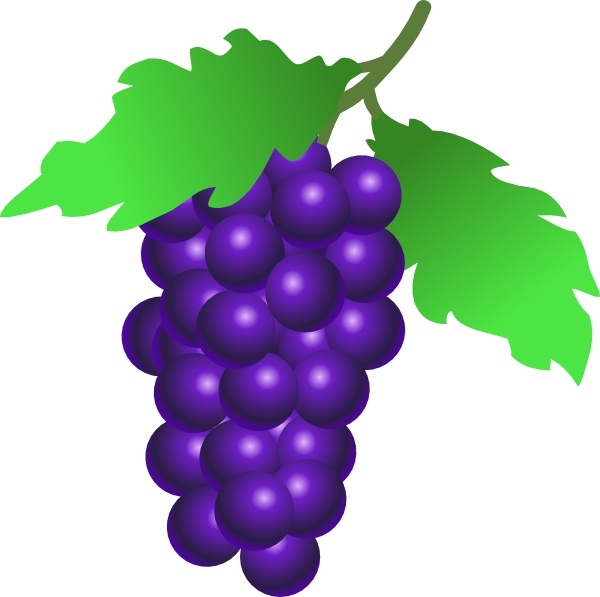 clipart green grapes - photo #25