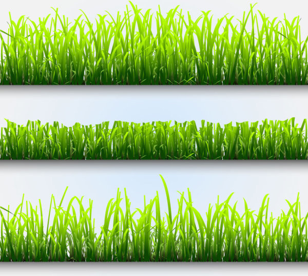 vector free download grass - photo #26