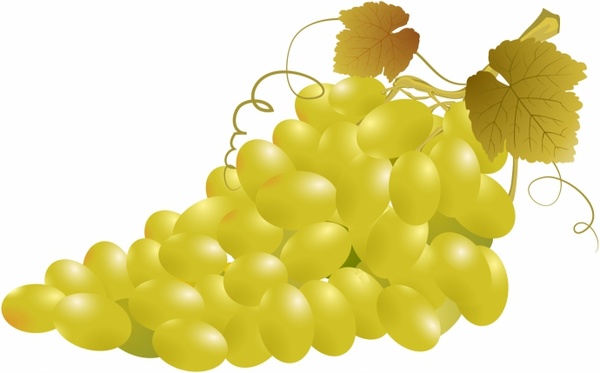 clipart green grapes - photo #44