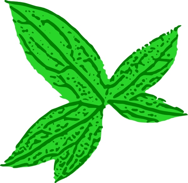 free clipart green leaves - photo #14