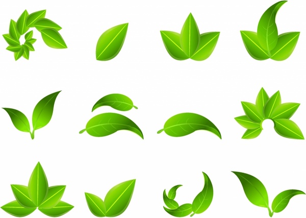leaf clipart cdr - photo #2
