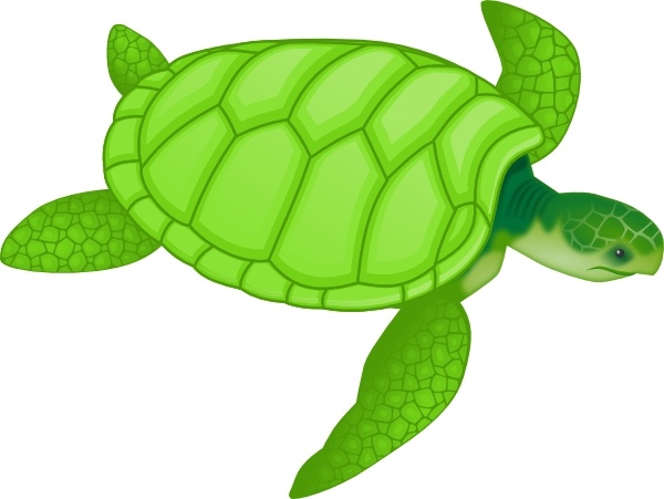 clipart sea turtle - photo #3
