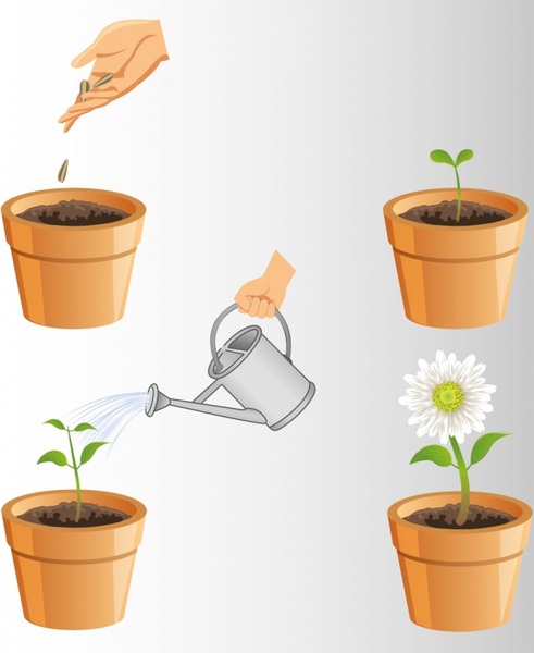 flower growing clipart - photo #43