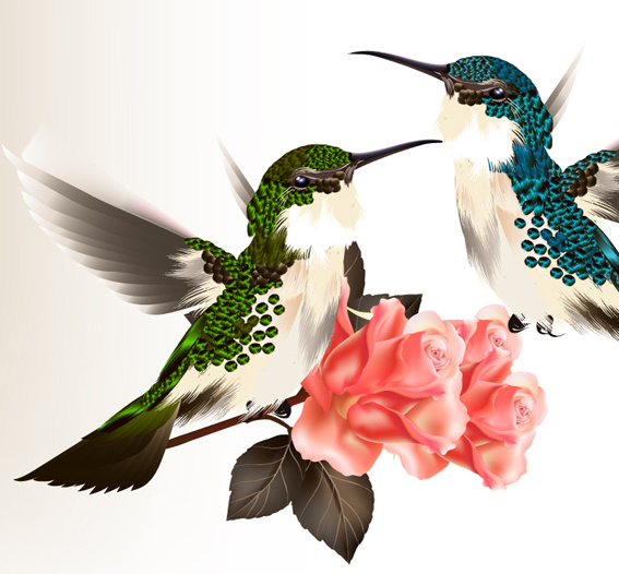 Free printable hummingbird stencils free vector download (155 Free